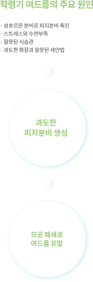 학령기 여드름의 주요 원인, 과도한 피지분비 생성, 모공 폐쇄로 여드름 유발